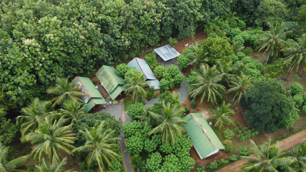 Green View Safari Resort Udawalawe Exterior photo